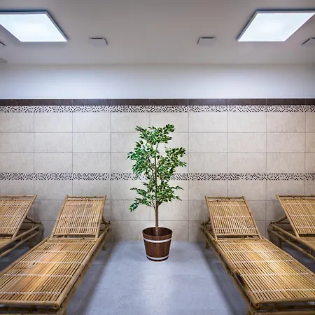 Hotel Wellness Holzberg - Krytý Relaxační Bazén, Dětský Bazén, Whirlpool, Sauna, Restaurace, Bowling, Venkovní Hřiště, Herna, Pingpong, Billiard 4*
