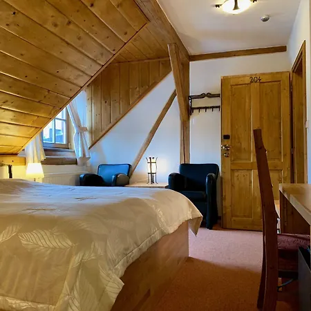 Wellness Holzberg - Krytý Relaxační Bazén, Dětský Bazén, Whirlpool, Sauna, Restaurace, Bowling, Venkovní Hřiště, Herna, Pingpong, Billiard Suchá Rudná