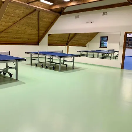 Wellness Holzberg - Krytý Relaxační Bazén, Dětský Bazén, Whirlpool, Sauna, Restaurace, Bowling, Venkovní Hřiště, Herna, Pingpong, Billiard